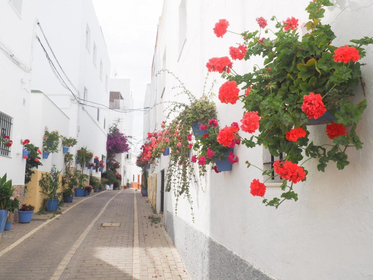Conilplus Apartamento Lenguado Conil De La Frontera Exteriér fotografie